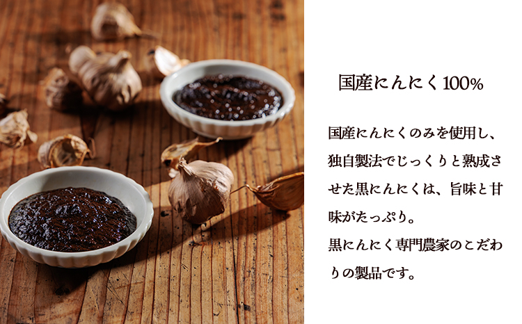 毎日の食卓に、簡単・便利・おいしい！ 国産黒ニンニクピューレ 300g×3p　TF0892-P00032