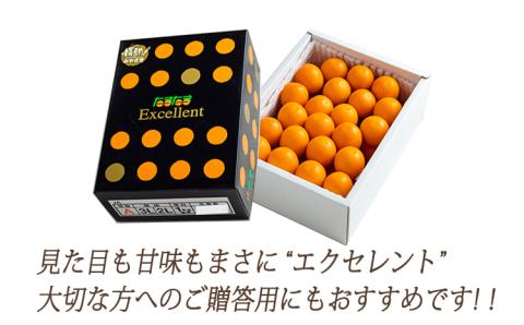 高原町産完熟きんかん『たまたまエクセレント』2Lサイズ1kg [宮崎県産 金柑 まるかじり お菓子 甘露煮 サラダ] TF0051-P00015