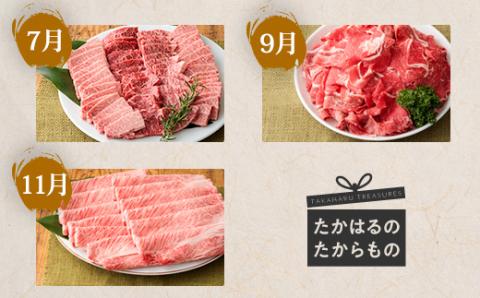 【定期便6回】宮崎牛たかはる定期便ハーフα(奇数月発送) 内閣総理大臣賞4大会連続受賞の黒毛和牛 [ブランド牛 国産牛 牛肉 お肉 1年間奇数月(12ヶ月) 6ヶ月 150000円 15万円 『おいしい特産品を詰め込んだ定期便特集』-宮崎県高原町] TF0309-P00020