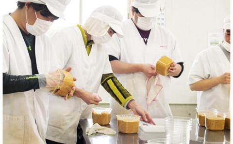 あさひの里 手作り合わせ味噌 [みそ 調味料] TF0521-P00034