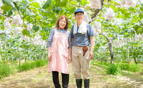 【先行受付】九州産 和梨「新高(にいたか)」 5kg [季節限定 期間限定 果物 フルーツ 国産 日本産] TF0313-P00025