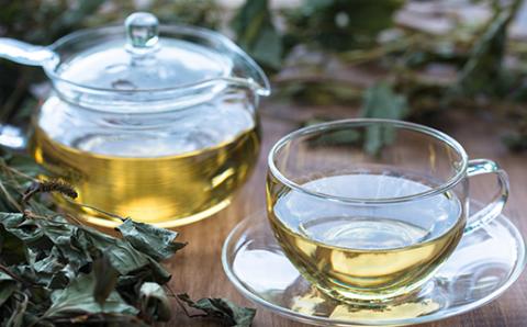 《天然・無農薬栽培》   スギナ茶「きりしま日和」ティーパックタイプ(1.5g×60包) 国産の健康茶 [杉菜 薬草茶 日本産 お茶 ノンカフェイン] TF0653-P00027