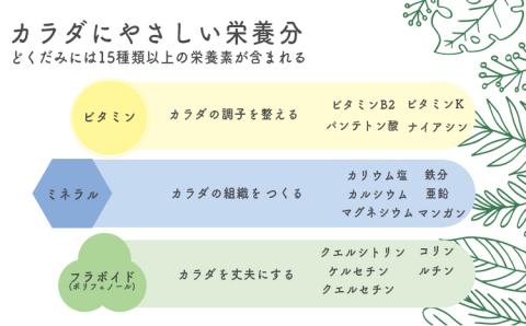 《天然・無農薬栽培》  どくだみ茶「きりしま日和」ティーパックタイプ(1.5g×60包) 国産の健康茶 [健康茶 薬草茶 日本産 お茶 ノンカフェイン 『返礼品特集20000円以下』-宮崎県高原町] TF0654-P00027