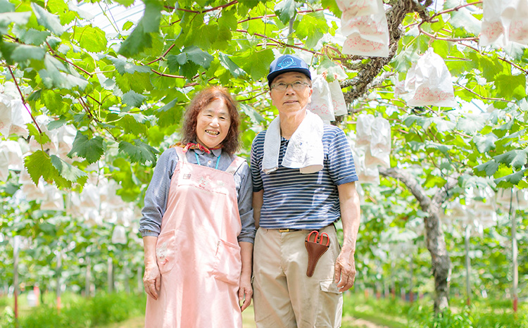《数量限定・先行受付》 日本一太陽を浴びて育った宮崎のシャインマスカット 約2kg(3～4房) 食べやすい種なしブドウ [ぶどう 葡萄 大粒 果物 フルーツ 季節限定 果物 ギフト 贈答 産地直送 産直 2キロ 3個～4個 宮崎県高原町産] TF0581-P00025