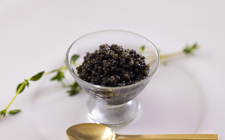 THE・CAVIAR（ザ・キャビア）5種食べ比べセット 合計50gTF0662-P00066