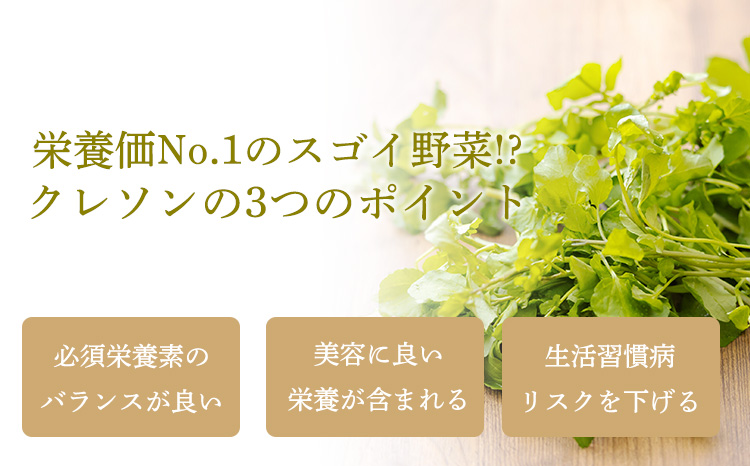 《美容や健康が気になる人に!》無添加クレソンパウダー 国産の和蘭芥子100%使用 [健康食品 保存料不使用 スムージー 調味料 隠し味 ムラタ拉麺] TF0794-P00074