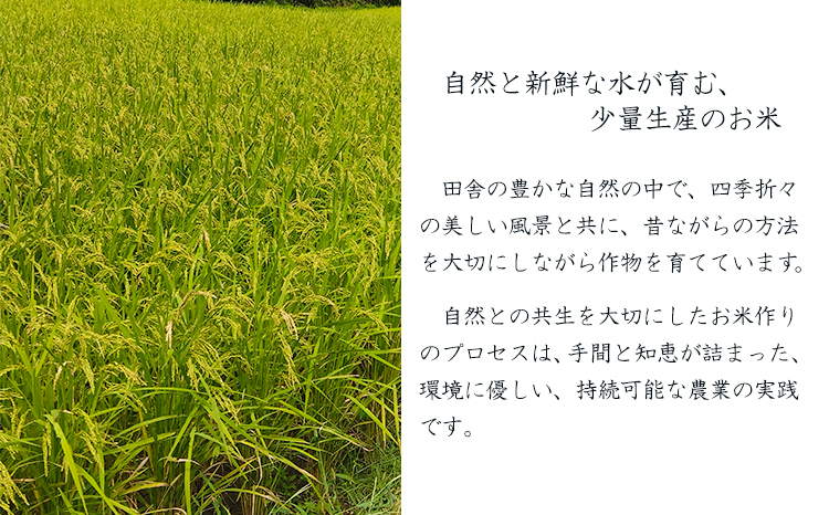 【数量限定】新米 令和７年産 農薬・化学肥料不使用 「陽の光穂（ひのひかり）」3kg(1kg×3p) 白米 国産 宮崎県産 高原町産 真空袋 使い切りごはん ご飯 産地直送 無農薬 湧水 手作業 少量生産 安全 安心 自然 天然　 TF0803-P00075