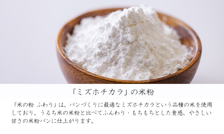 高原町産「米の粉 ふわり」1kg(真空チャック式1p) [宮崎県産 国産 米粉 ミズホチカラ パンづくり お菓子づくり 揚げ物 お好み焼き グルテンフリー 小麦アレルギーの方でも安心] TF0810-P00069