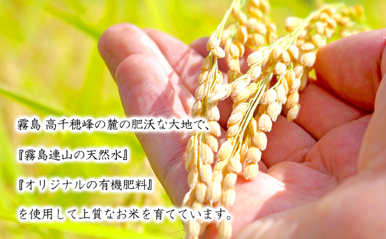 令和7年産 高原町産ヒノヒカリ5kg（無洗米）[数量限定 九州産 宮崎県産 高原町産 ひのひかり お米 白米] TF0853-P00032