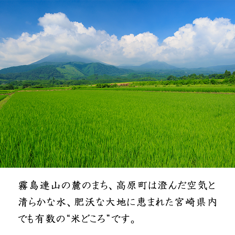 【令和7年産 新米】宮崎県高原町産 ひのひかり白米 5kg TF00854-P00079