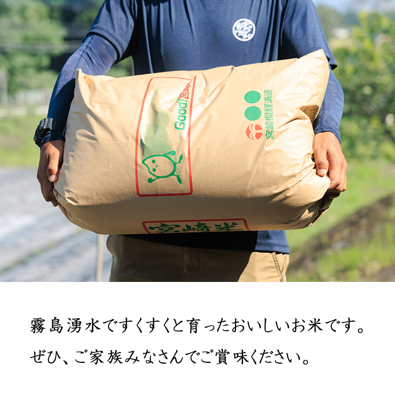 【令和7年産 新米】宮崎県高原町産 ひのひかり白米 10kg TF00856-P00079