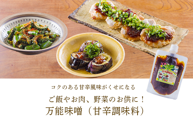 《ふるさとの高原の味》霧島の恵み! ごちそううどんセット[釜揚げうどん 万能味噌 ヒノヒカリ 鶏炭火焼 特産品詰合せ セット おかず おつまみ 贈り物 ギフト ワンストップオンライン 10000円以下] TF0858-P00008