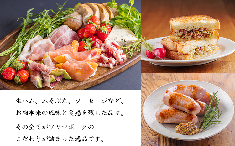 ソヤマポークの加工品詰め合わせ[ハム ステーキ ソーセージ 味噌漬け] TF862ｰP00078