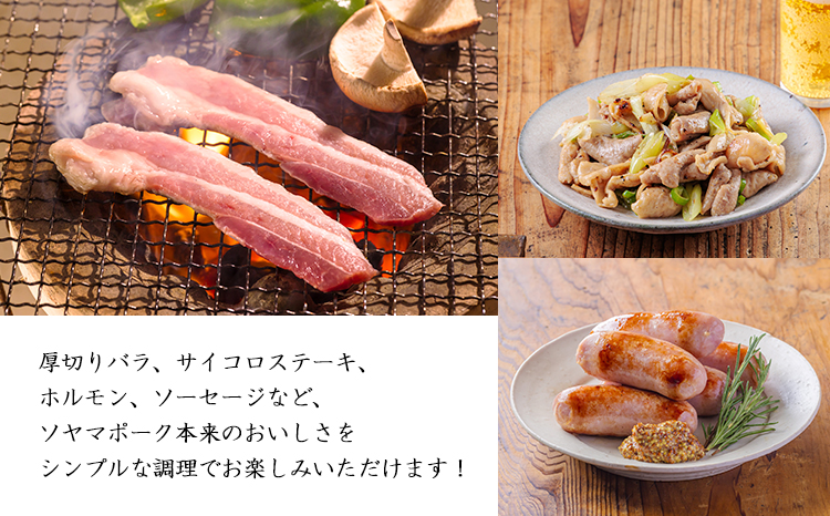 ソヤマポークの焼肉・炒め物セット[ロース バラ ステーキ ソーセージ ホルモン] TF863ｰP00078