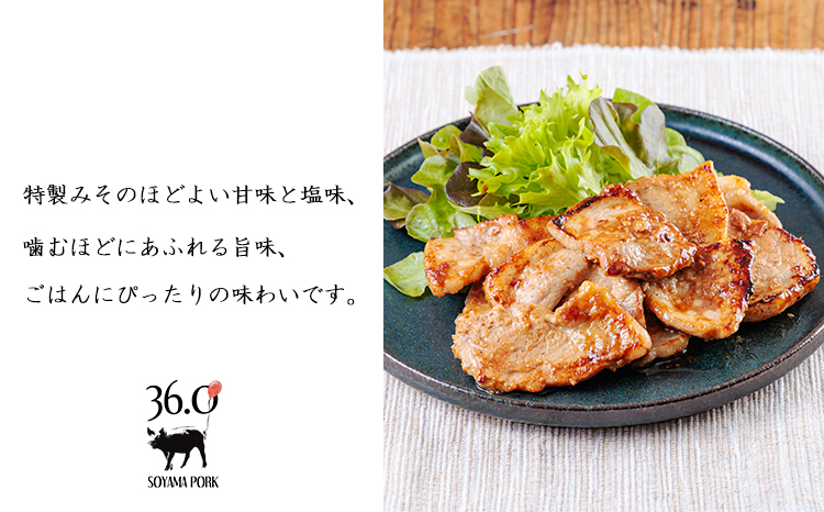 ソヤマポークのみそぶた堪能セットT[特製味噌漬け ロース モモ おかず お弁当] F866ｰP00078