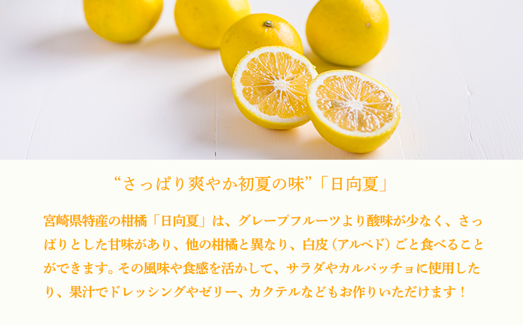  宮崎県の特産柑橘 日向夏の手搾り果汁200ml×5P  [保存料不使用] TF0875-P00074