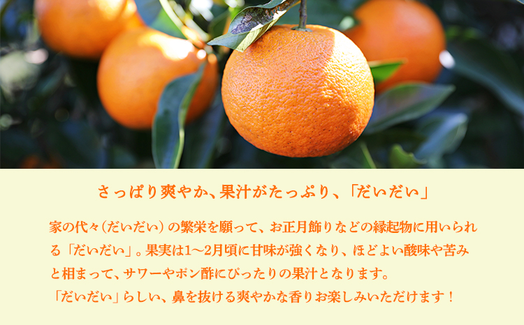  だいだい(橙)の手絞り果汁200ml×5p 保存料不使用 果物の果汁 濃縮還元なし 自家製ポン酢やサワー TF0881-P00074