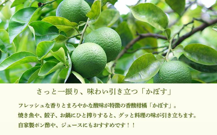かぼすの手絞り果汁200ml×3p 保存料不使用 自家製ポン酢やサワー カクテル用に 果物の果汁 濃縮還元なし TF0889-P00074