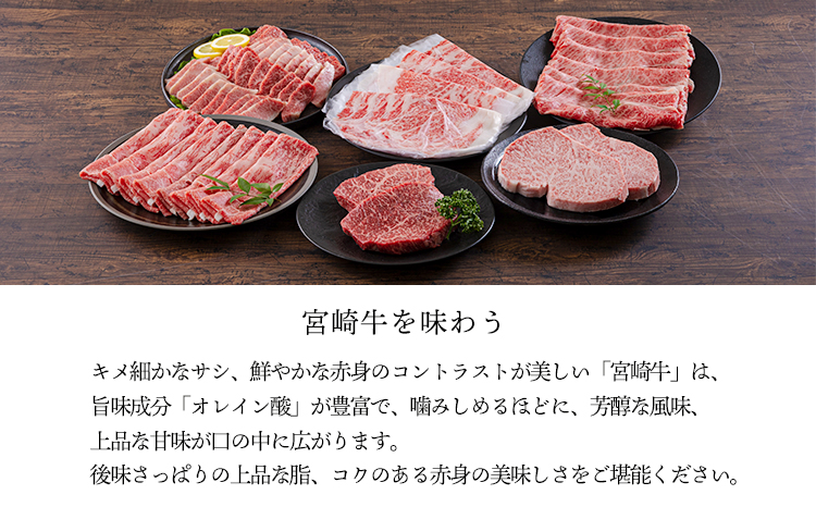 宮崎牛うでスライス 450g（すき焼き・しゃぶしゃぶ用）TF0902ｰP00020