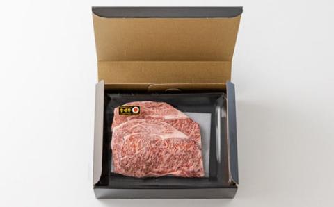 宮崎牛ロースステーキ 2枚(500g)＆宮崎牛モモステーキ 4枚(400g) TF0541-P00043