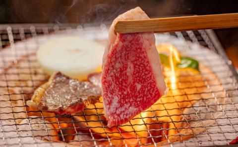 宮崎牛赤身肉の焼肉(ウデまたはモモ)800g＆黒毛和牛小間切れ 200g TF0545-P00043