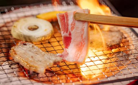 宮崎県産豚バラ焼肉 1.5kg TF0547-P00043