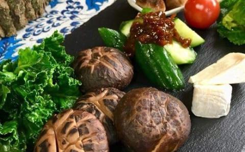 《有機JAS取得》肉厚!有機原木椎茸(薪室仕上げ) ひなたGAP取得の安全・安心のしいたけ [産地直送 産直 田中椎茸] TF0356-P00009