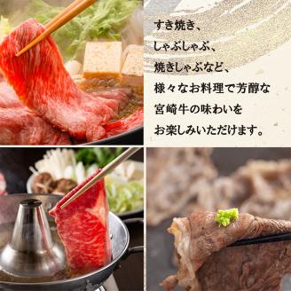 《A5ランク・A4等級》宮崎牛「すき焼き・しゃぶしゃぶ肉セット(700g)」大人気の赤身肉＆霜降りスライス 内閣総理大臣賞4連続受賞 [黒毛和牛 ブランド牛 国産牛 牛肉 お肉 2人前 一人暮らし] TF0614-P00020