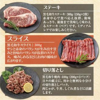 《大容量》黒毛和牛Aセット(ステーキ・スライス・切り落とし)3種で合計1kg 国産牛詰め合わせセット [赤身肉 牛肉 お肉 ステーキ 切り落とし スライス 『返礼品特集20000円以下』-宮崎県高原町]  TF0561-P00020