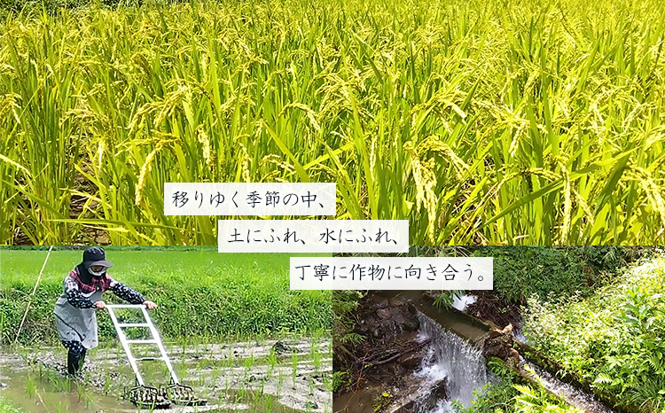 【数量限定】新米 令和７年産 農薬・化学肥料不使用 「陽の光穂（ひのひかり）」3kg(1kg×3p) 白米 国産 宮崎県産 高原町産 真空袋 使い切りごはん ご飯 産地直送 無農薬 湧水 手作業 少量生産 安全 安心 自然 天然　 TF0803-P00075