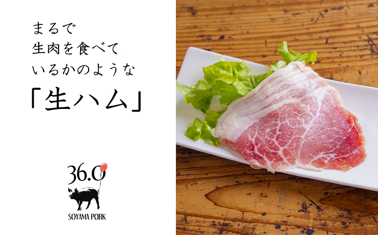 ソヤマポークのこだわり生ハム3種セット[ロース バラ モモ パンチェッタ ベーコン おつまみ パーティー 宮崎県産 豚肉]TF0827-P00078