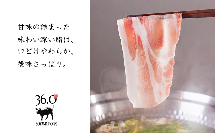 ソヤマポークのしゃぶしゃぶ食べ比べセット（4種類100g×12）[薄切り 小分け スライス 豚しゃぶ すき焼き 宮崎県産] TF0828-P00078