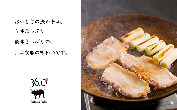 ソヤマポーク味わい堪能3種セット[生ハム 焼肉 炒め物 しゃぶしゃぶ バラ ロース モモ 肩ロース 小分け 大容量 宮崎県産 豚肉]TF0830-P00078