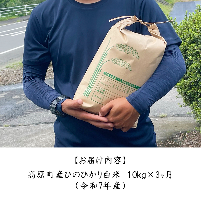 【令和7年産 新米】宮崎県高原町産 ひのひかり白米 定期便10kg×3ヶ月 TF00857-P00079