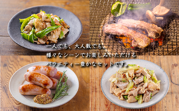 ソヤマポークの焼肉・炒め物セット[ロース バラ ステーキ ソーセージ ホルモン] TF863ｰP00078