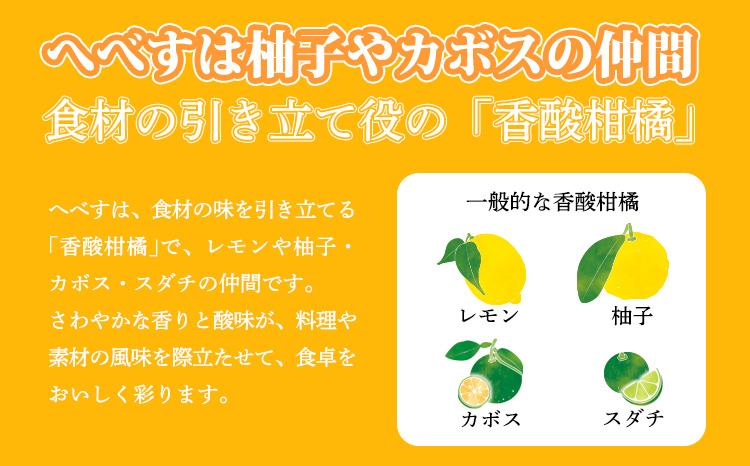 《必須アミノ酸が豊富!》へべすの生搾り果汁200ml×1Ｐ カボス・スダチ・ライム・柚子と同じ 香酸柑橘の平兵衛酢 　TF0867-P00074
