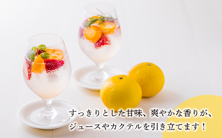 宮崎県の特産柑橘 日向夏の手搾り果汁200ml×3P  [保存料不使用] TF0874-P00074