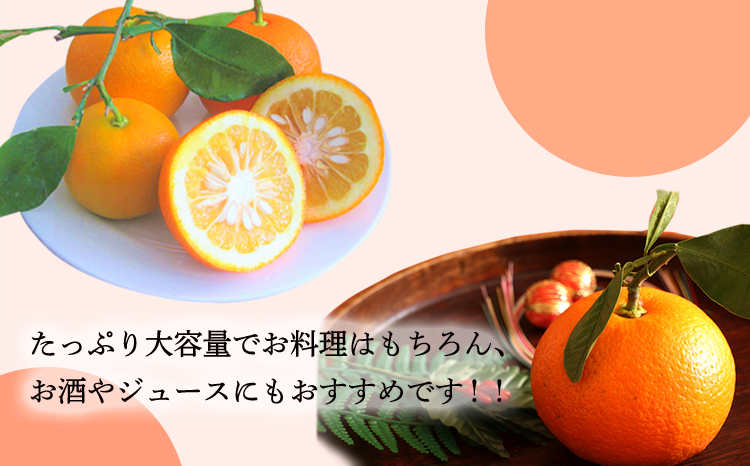 だいだい(橙)の手絞り果汁200ml×3p 保存料不使用 果物の果汁 濃縮還元なし 自家製ポン酢やサワー TF0880-P00074