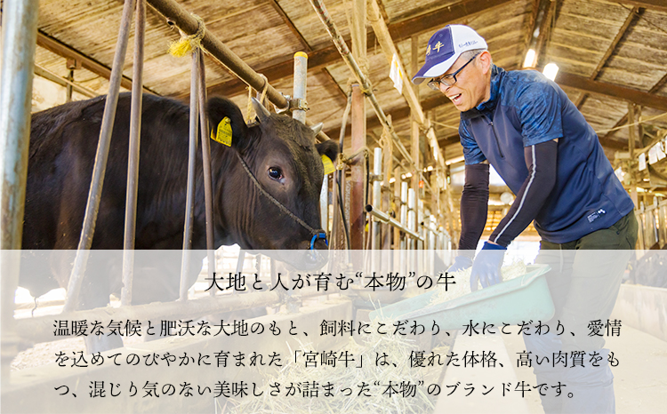 宮崎牛うで＆もも肉セット450g（焼肉・BBQ用）TF0903ｰP00020