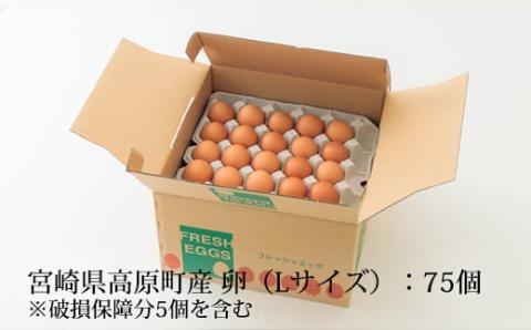 宮崎県産の赤たまご『きみの力(チカラ)』大容量75個Lサイズの赤卵 ミネラルたっぷりのカキガラや上質な飼料ですくすく育った鶏の卵は甘くておいしい逸品 [新鮮 たまご L玉 玉子 大玉 10000円 1万円 『返礼品特集20000円以下』-宮崎県高原町] TF0406-P00035