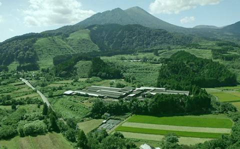 《THE・CAVIAR》ザ・キャビア4種食べ比べセット(合計80g) バエリ・オシェトラ・スターレット・ホワイトスタージョン詰め合わせ [高級 国産 日本産 ギフト 贈答 贈り物 プレゼント お中元 化粧箱入り BAERII/OSETRA/STERLET/WHITE STURGEON] TF0551-P00066