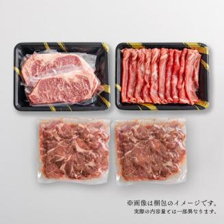 《大容量》黒毛和牛Aセット(ステーキ・スライス・切り落とし)3種で合計1kg 国産牛詰め合わせセット [赤身肉 牛肉 お肉 ステーキ 切り落とし スライス 『返礼品特集20000円以下』-宮崎県高原町]  TF0561-P00020