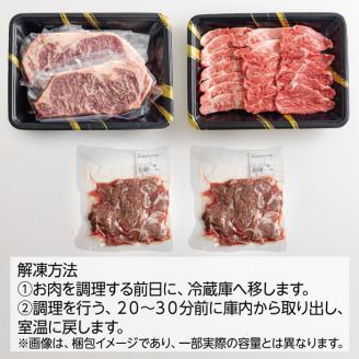 《大容量》黒毛和牛Bセット(ステーキ・焼肉・切り落とし)3種で合計1kg 国産牛詰め合わせセット [赤身肉 牛肉 お肉 ステーキ 切り落とし 『返礼品特集20000円以下』-宮崎県高原町] TF0562-P00020