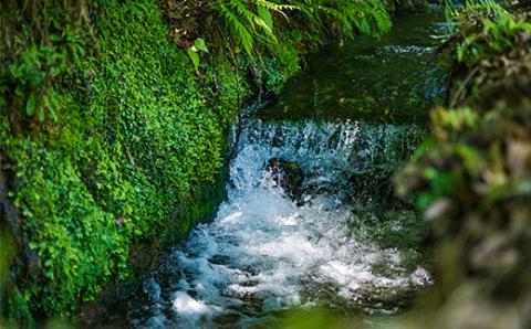 《数量限定・先行受付》 日本一太陽を浴びて育った宮崎のシャインマスカット 約2kg(3～4房) 食べやすい種なしブドウ [ぶどう 葡萄 大粒 果物 フルーツ 季節限定 果物 ギフト 贈答 産地直送 産直 2キロ 3個～4個 宮崎県高原町産] TF0581-P00025
