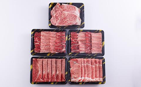 宮崎牛月替わり堪能セット定期C[3ヶ月] 合計2000g(2kg) [国産 黒毛和牛 ブランド牛 お肉 ステーキ 焼肉 しゃぶしゃぶ 70000円 7万円 『おいしい特産品を詰め込んだ定期便特集』-宮崎県高原町] TF0691-P00020