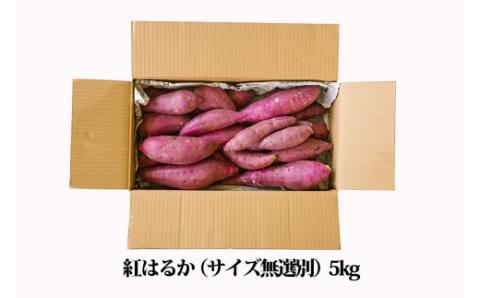 【令和７年産】高原町産 熟成紅はるか5kg（無選別） [さつまいも 焼き芋 べにはるか 大学芋 かりんとう 天ぷら 豚汁 長期熟成 糖度 無選別 産地直送 産直 5キロ 南九州産 宮崎県高原町産] TF0719-P00061