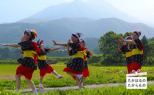 【※返礼品なし】高原町への応援寄附金(1,000円分)　宮崎県 高原町　たかはる　霧島　高千穂峰 故郷納税 1000円 千円 オンラインワンストップ対応TF1001-P00049