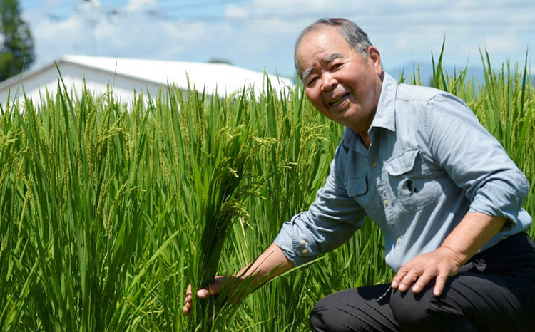 【令和7年産】無農薬栽培 合鴨米ひのひかり(玄米)5kg TF0424-P00029