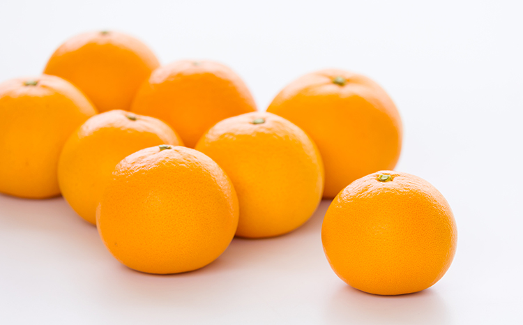 《数量限定》柑橘の高級ブランド 果汁たっぷり高原町産「せとか」約2kg(6～8玉)  オレンジ色の果物[産地直送 産直 フルーツ ギフト 贈答 贈り物 プレゼント 宮崎県産 国産]  TF0746-P00068