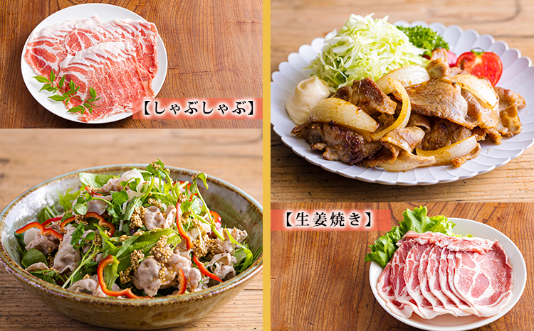 高原育ちの宮崎県産豚肉5種バラエティーセット1.5kg おいしさ満喫 [ロース 肩ロース 夕食 お弁当 一人暮らし 万能食材 ステーキ とんかつ ポークソテー 生姜焼き しゃぶしゃぶ  焼肉 肉巻き 300g 小分け 使い切り]TF0779-P00070